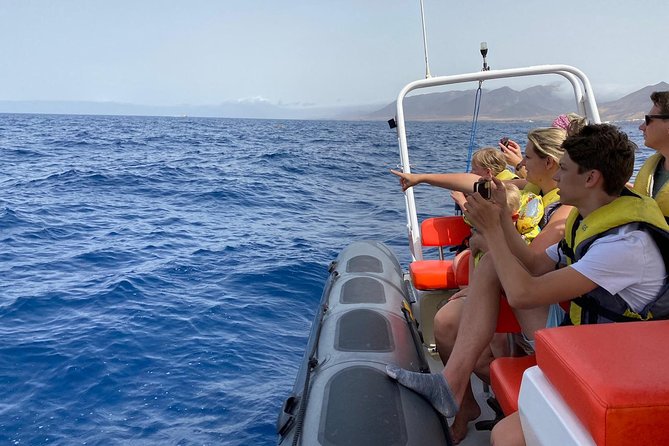 2h Dolphin and Whale Viewing + Snorkeling Tour - The first run along the Fuerteventura coast