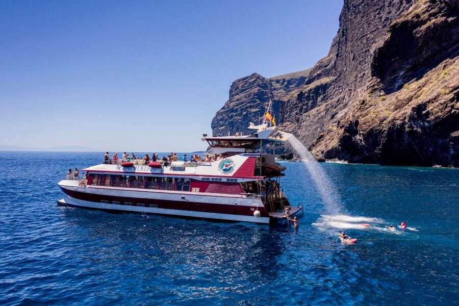 Adeje: Whale and Dolphin Watching Cruise with Lunch and Swim - The 16 underwater windows and the lower deck