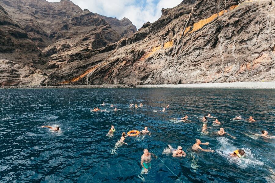 Adeje: Whale and Dolphin Watching Cruise with Lunch and Swim - Swimming, lunch, and the onboard drinks