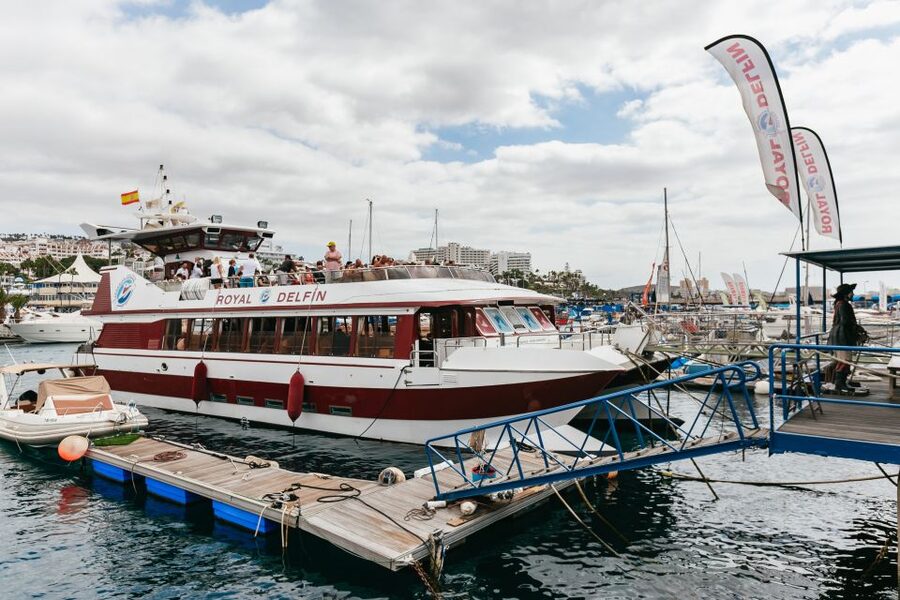 Adeje: Whale and Dolphin Watching Cruise with Lunch and Swim - Space, timing, and the large-catamaran trade-off