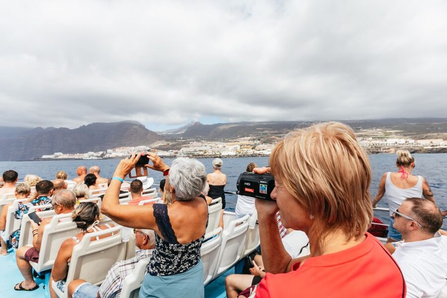 Adeje: Whale and Dolphin Watching Cruise with Lunch and Swim - Is $59 a fair price?