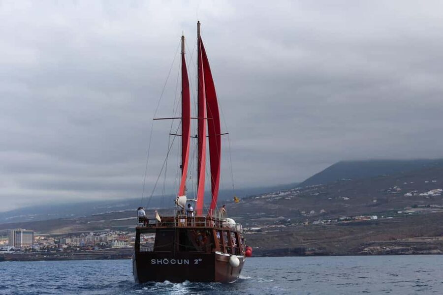 Adeje: Whale Watching Tour to Los Gigantes with lunch & swim - What the $63 price really covers