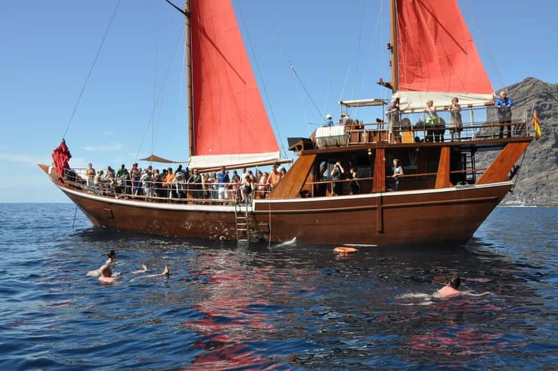 Adeje: Whale Watching Tour to Los Gigantes with lunch & swim - Who should book this five-hour excursion