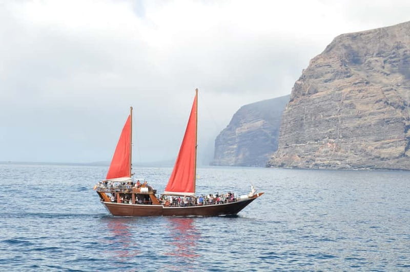 Adeje: Whale Watching Tour to Los Gigantes with lunch & swim - Should you book the Los Gigantes whale-watching trip?