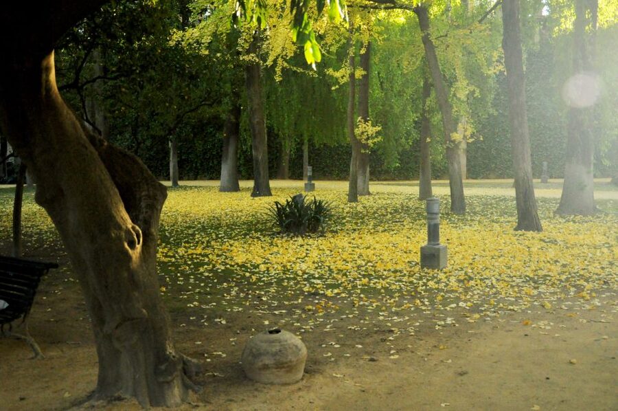 Alcázar of Seville Skip-the-Line Tickets and Guided Tour - The palace rooms and courtyards