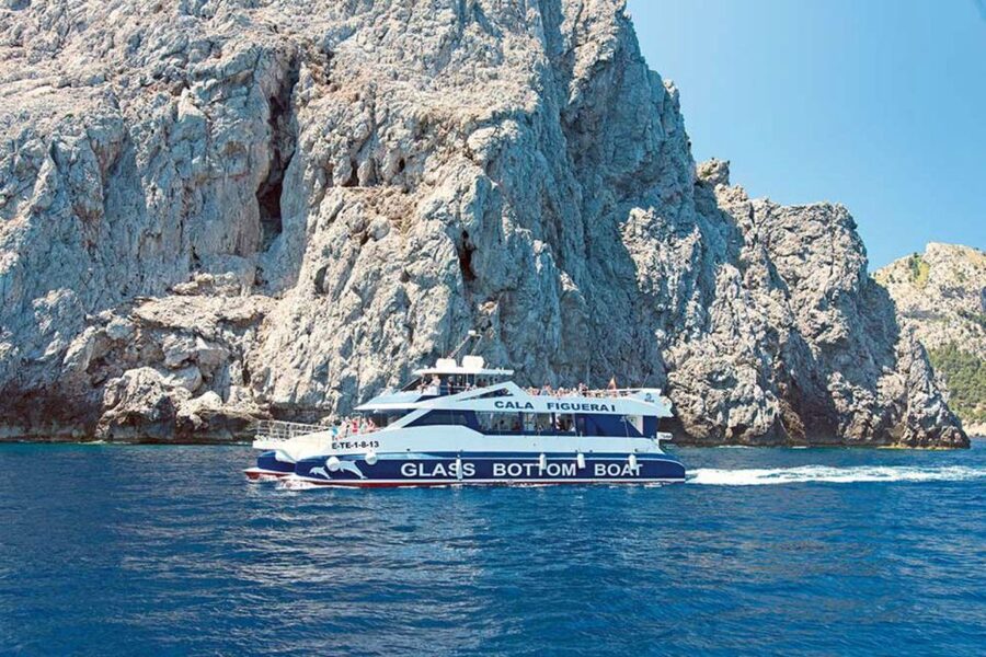 Alcudia: Boat Trip to Coll Baix - The swimming stop: the real highlight