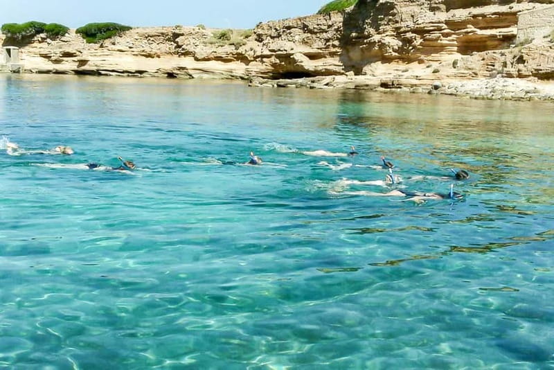 Alcudia: Formentor Beach, Lighthouse Cruise, and Small Group - Is $85 a fair price?