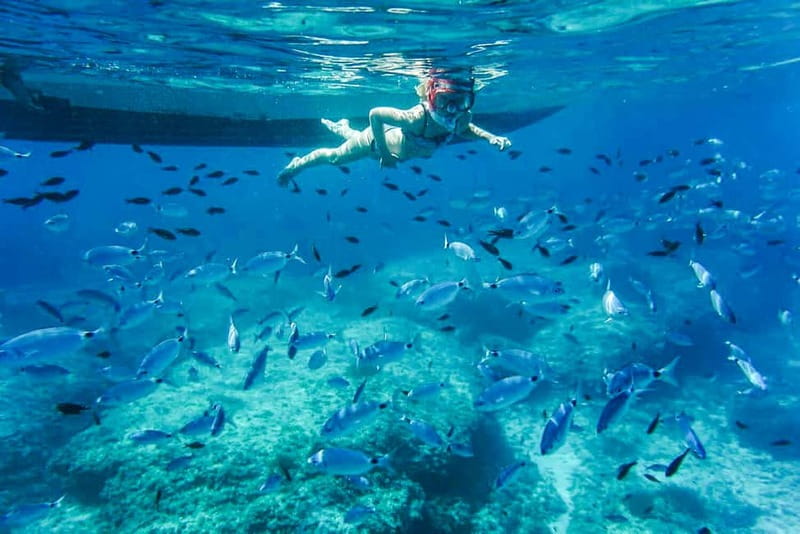 Alcudia: Formentor Beach, Lighthouse Cruise, and Small Group - Leaving Alcudia for Es Coll Baix
