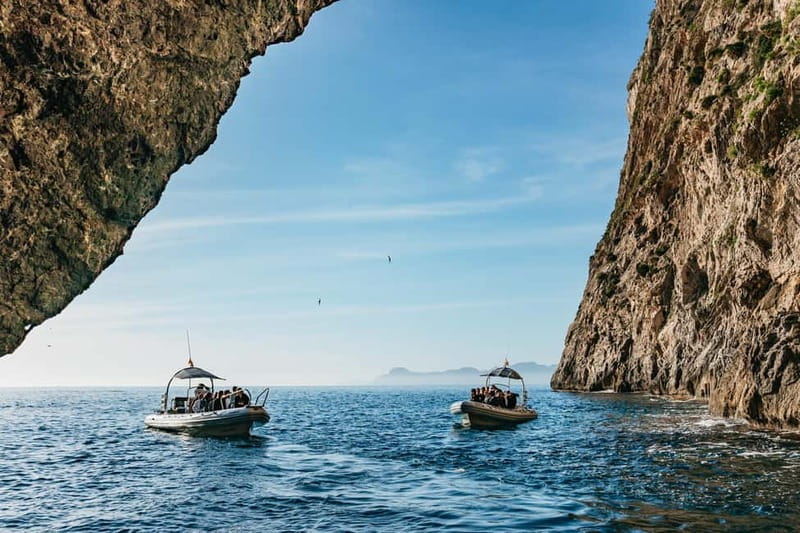 Alcudia or Can Picafort: Dolphin-Watching Cruise - Cabo Formentor and the return along the cliffs