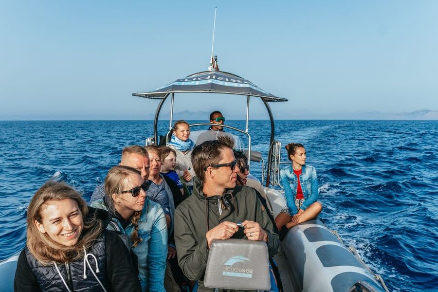 Alcudia or Can Picafort: Dolphin-Watching Cruise - Es Coll Baix: the swimming stop
