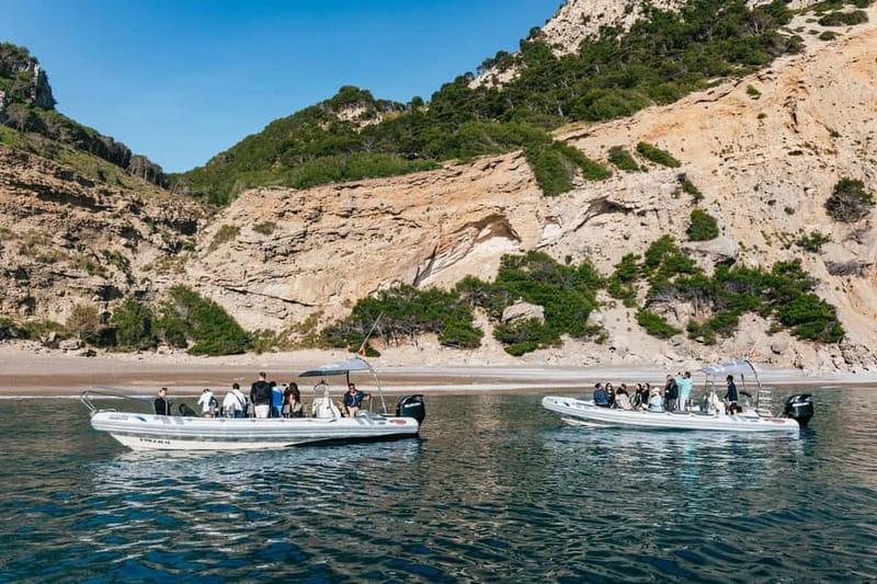 Alcudia or Can Picafort: Dolphin-Watching Cruise - How rough is the boat ride?