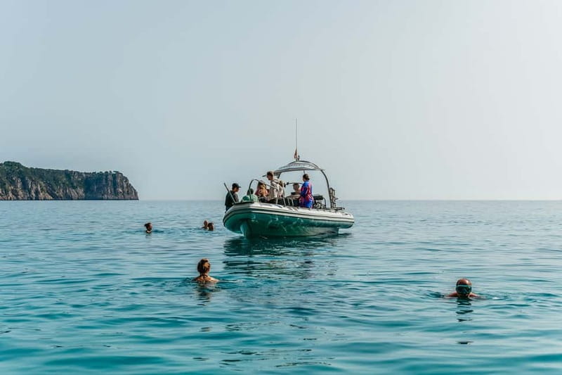Alcudia or Can Picafort: Dolphin-Watching Cruise - Meeting point and optional hotel pickup