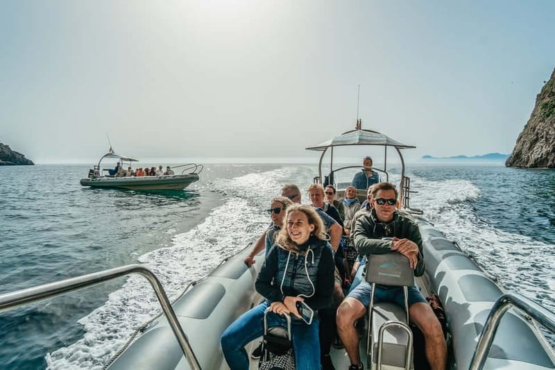 Alcudia or Can Picafort: Dolphin-Watching Cruise - Weather, cancellation, and what to pack