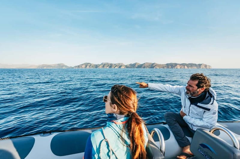 Alcudia or Can Picafort: Dolphin-Watching Cruise - Sunrise versus an afternoon departure
