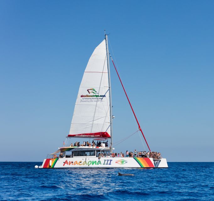 Alcudia: Sunset Catamaran Tour with Dinner and Snorkeling - Who will enjoy this catamaran trip most