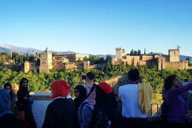 Alhambra &Charles Palace Guided Tour with Optional Nasrid Palaces - The first decision: full Alhambra entry or surroundings only