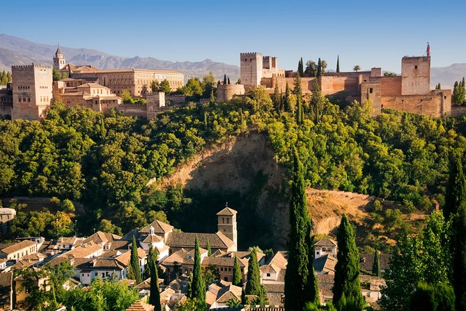 Alhambra Private/Small Group Tour & Nasrid Palaces Skip the Line - Nasrid Palaces: the hour that earns the ticket