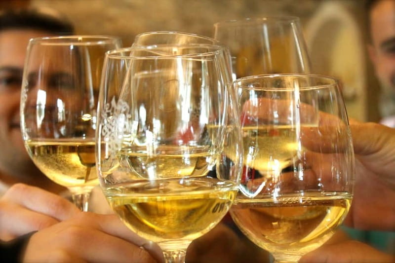 Alicante: Countryside Wine Tour with 4 Tastings - Walking through a family-run vineyard