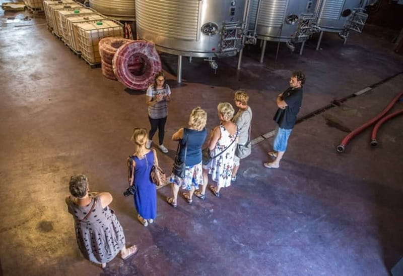 Alicante: Countryside Wine Tour with 4 Tastings - Seeing the tanks, cellar, and wine-making process