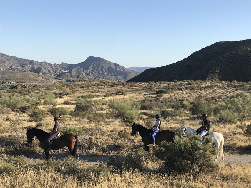 Almeria: Horse Riding Tour Through the Tabernas Desert - What the two hours feel like in practice