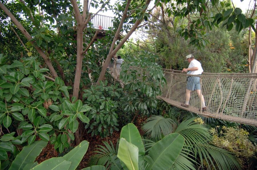 Arona: Entry Ticket to Tenerife's Jungle Park Zoo - Why the birds of prey show earns top billing