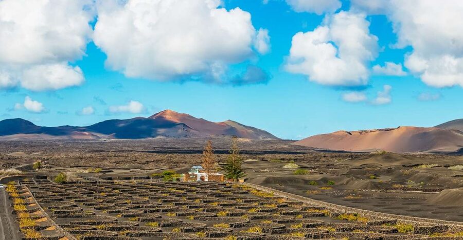 Arrecife: Timanfaya and Green Lagoon for Cruise Passengers - Why Timanfaya makes this Lanzarote tour worthwhile