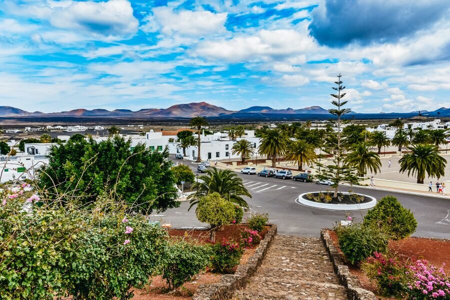 Arrecife: Timanfaya and Green Lagoon for Cruise Passengers - Geothermal heat you can see and feel