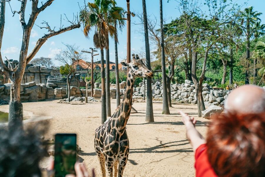 Barcelona: 1-Day Ticket to Barcelona Zoo - Is $27 a fair price?