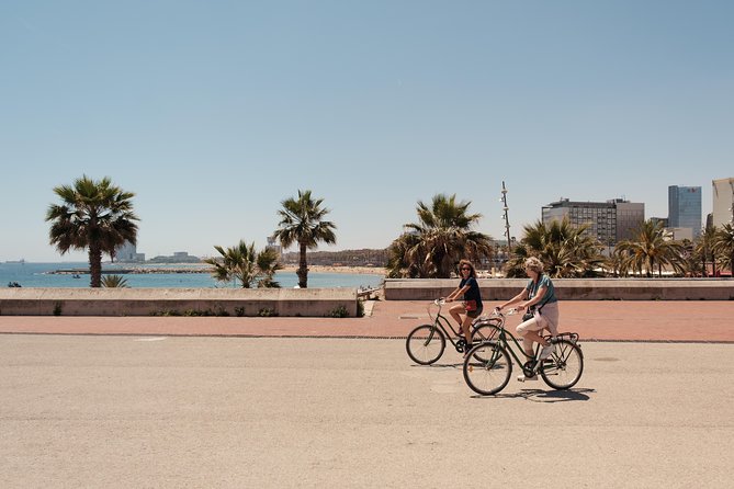Barcelona 3-hour Bike or E-Bike Tour: Highlights and Hidden Gems - Starting in Plaça Reial