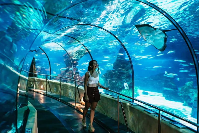 Barcelona Aquarium: Entry Ticket - Key points to know before you go