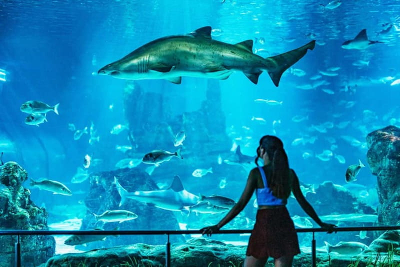 Barcelona Aquarium: Entry Ticket - The best time to visit Barcelona Aquarium