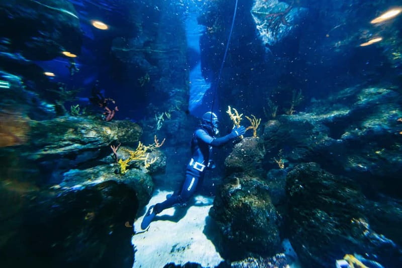 Barcelona Aquarium: Entry Ticket - Planeta Aqua turns the visit into a learning activity