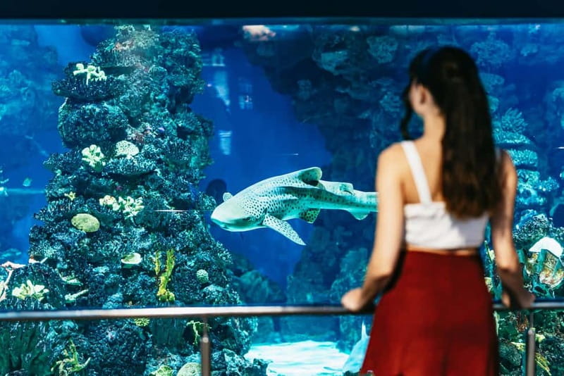 Barcelona Aquarium: Entry Ticket - How long should you spend inside?
