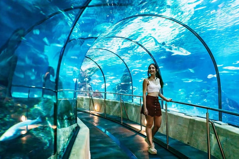 Barcelona Aquarium: Entry Ticket - Visiting with toddlers, strollers, or wheelchairs