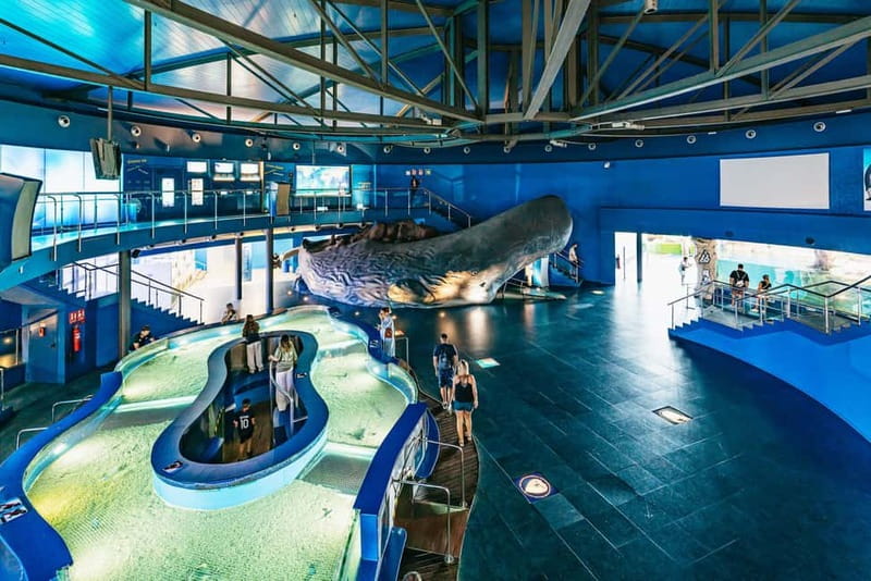 Barcelona Aquarium: Entry Ticket - The café, shop, and optional extras