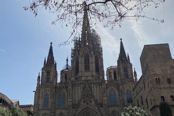Barcelona: Bar Crawl at Gaixample - The value of a $29.02 evening