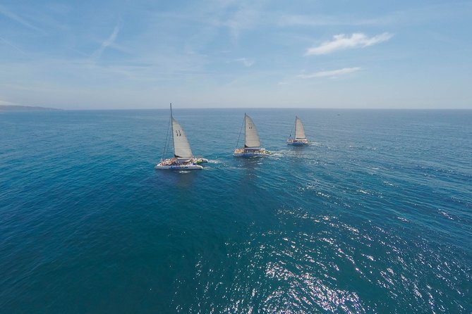 Barcelona Catamaran Party Tour For Young People - The swimming stop after about an hour