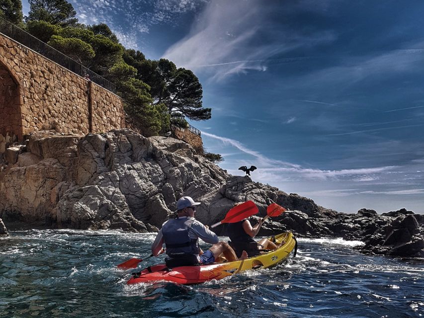Barcelona: Costa Brava Hiking, Sea Kayaking & Lagoon Dipping - Paddling among cliffs and small coves