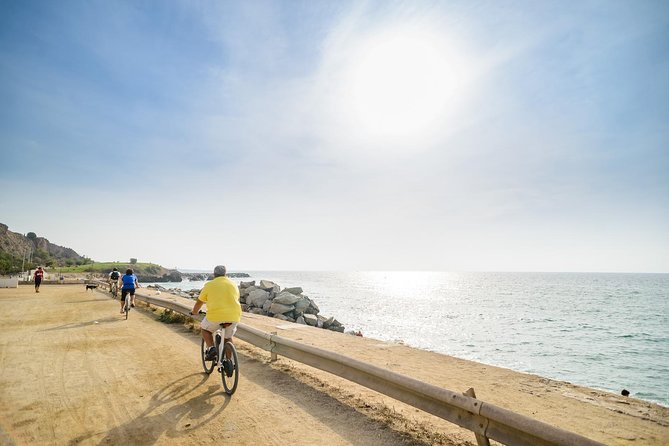 Barcelona eBike Beach Private Tour to Vineyards & Picnic - Who should book this experience?
