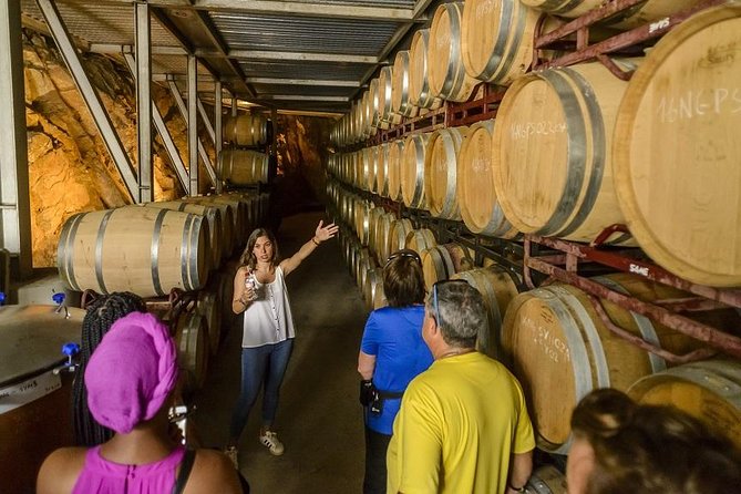 Barcelona eBike Beach Private Tour to Vineyards & Picnic - Weather, clothing, and booking details