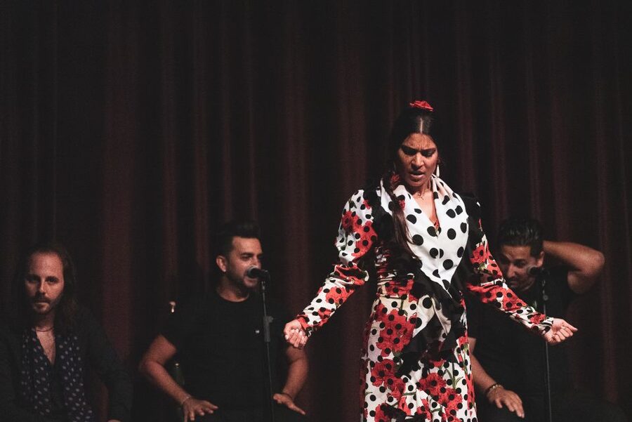 Barcelona: Flamenco Show at Palau Dalmases - What happens during the 50 to 55 minute show