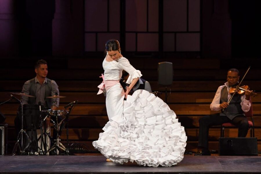 Barcelona: Gran Gala Flamenco Show Entry Ticket - What Gran Gala Flamenco actually gives you