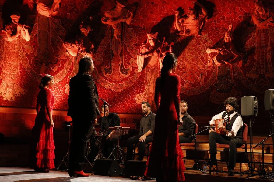 Barcelona: Gran Gala Flamenco Show Entry Ticket - The flamenco performance: rhythm, costume, and control
