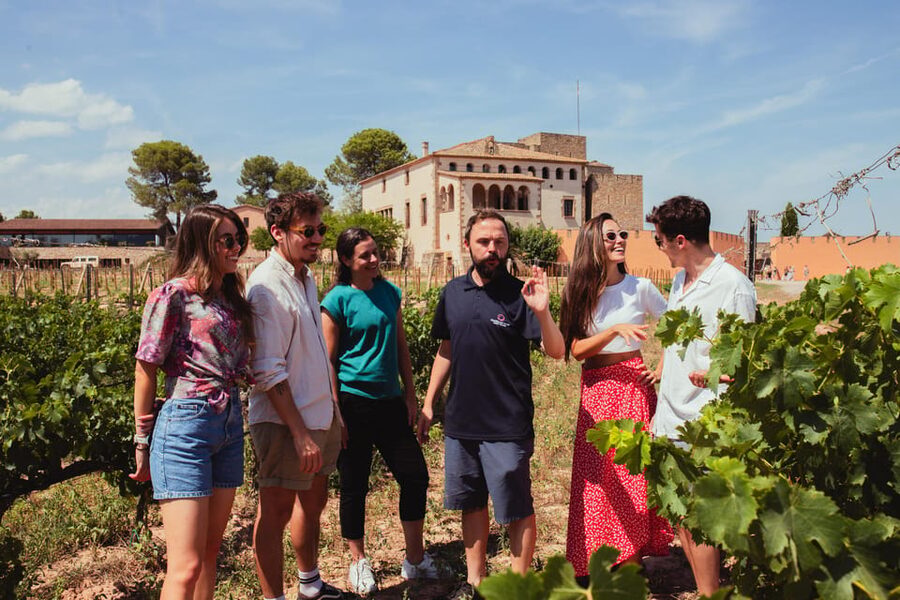 Barcelona: Montserrat with Winery, Lunch, and Train Options - How much value do you get for $63?