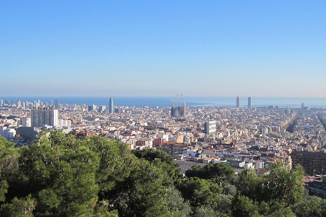 Barcelona: Park Guell Skip the Line Guided Tour - A 75-minute tour with a clear limit