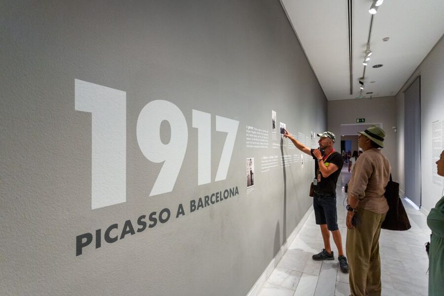 Barcelona: Picasso Museum Skip-the-Line Guided Tour - Entering the museum without the regular wait