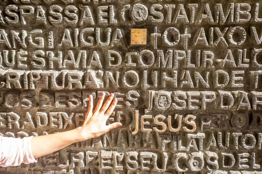 Barcelona: Sagrada Familia Tour with Optional Tower Access - How much time and value you get for $99