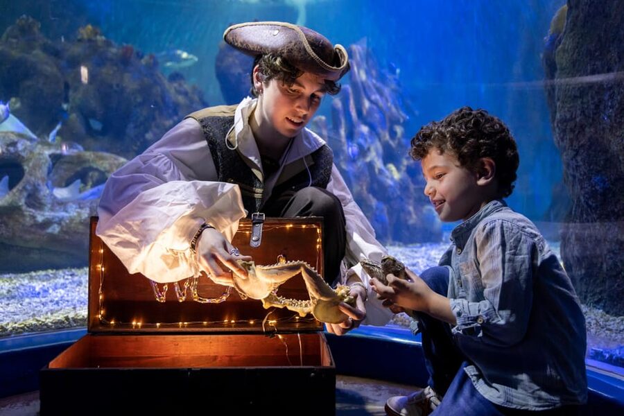 Benalmadena Aquarium Visit - The 180-degree tunnel is the aquarium’s big moment