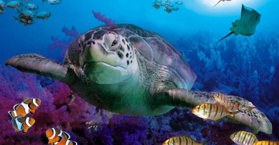 Benalmadena Aquarium Visit - Starting in the Mediterranean zone