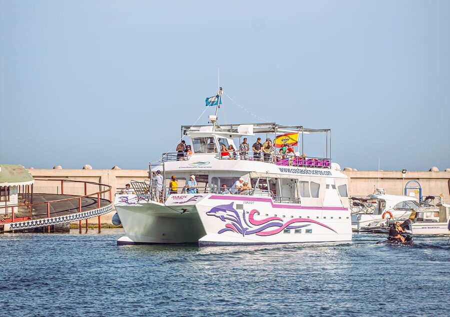 Benalmadena: Dolphin Watching Boat Tour - What the New Magic feels like on the water